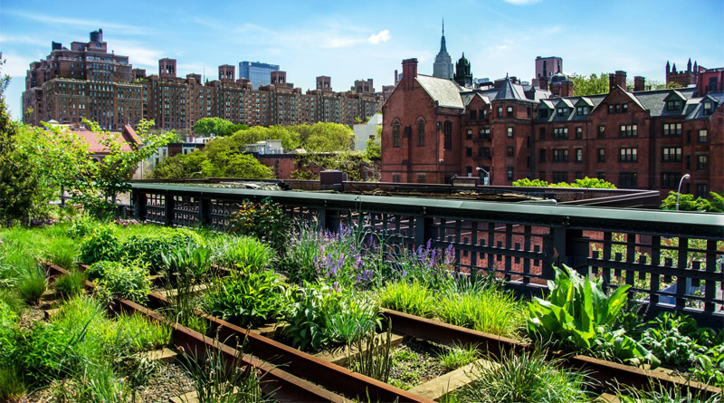 The High Line in NYC