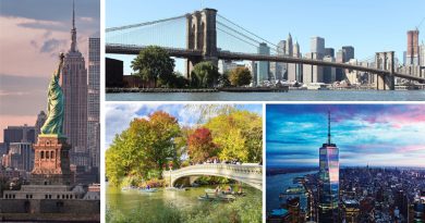 Top 5 NYC Attractions