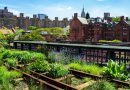 The High Line: NYC’s Premier Outdoor Promenade