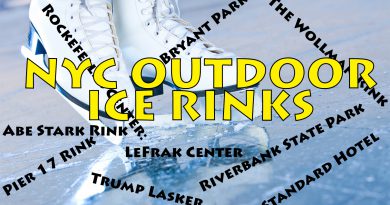 Best Outdoor Ice Skating Rinks in New York City