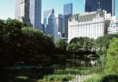 Hotels Near Central Park, NYC