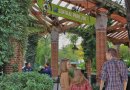 Things To Do In New York City For Kids