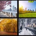 New York City Temperature and Tourism Guide