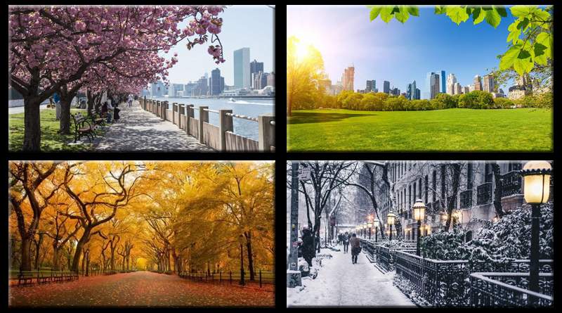 Seasons in NYC